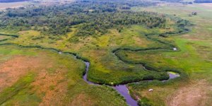 Уникальное болото в Лидском районе уничтожат ради торфа Уникальное болото в Лидском районе уничтожат ради торфа