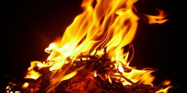 В лесу Дятловского района нашли обгоревший труп мужчины