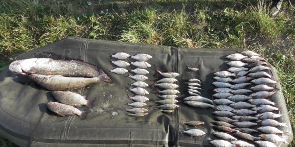 В Щучинском районе задержали браконьеров с 22 килограммами рыбы