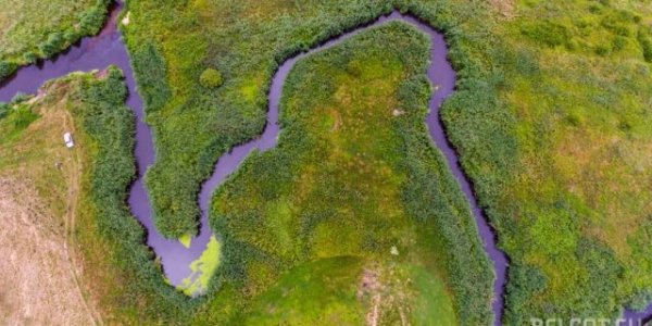 Уникальное болото в Лидском районе уничтожат ради торфа