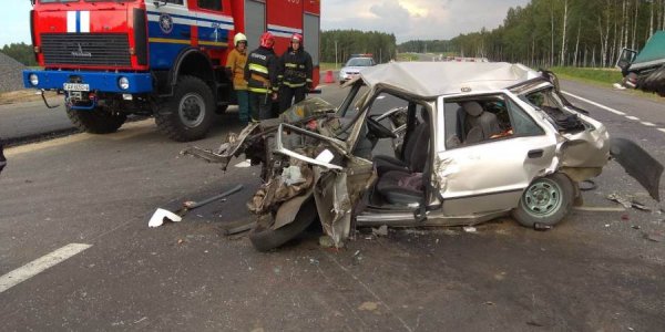 На трассе М6 фура вытолкнула на встречку Skoda: один человек погиб, два пострадали