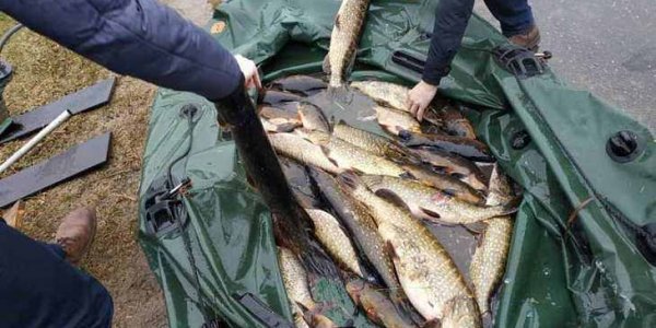В Лидском районе за незаконный улов рыбы задержан житель Березовки