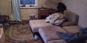 В Лиде мужчины выпили стеклоочиститель и умерли В Лиде мужчины выпили стеклоочиститель и умерли