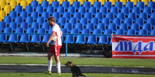 Во время матча между «Лидой» и «Белшиной» на поле выбежала собака